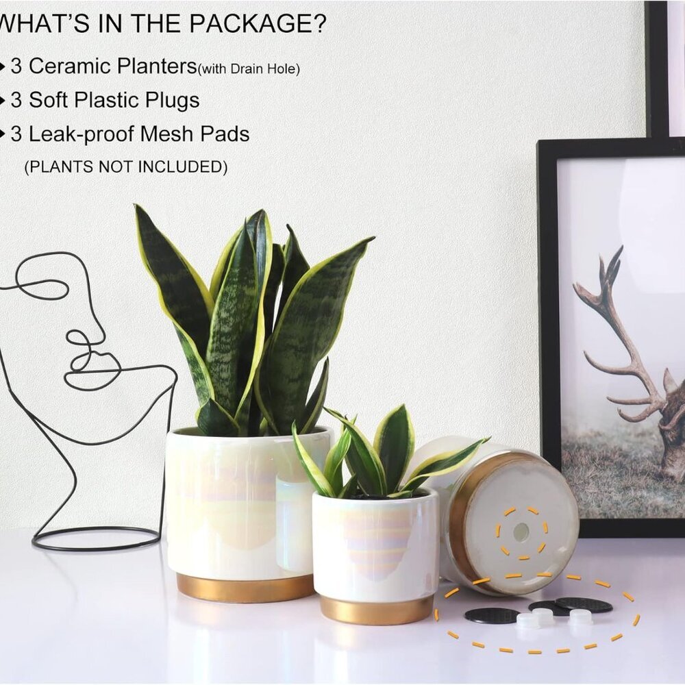 White Indoor Pots for Plants, Ceramic Planter with Drainage Hole, 6.0 inch+5.0 I - Picture 4 of 7